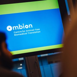 JelleDraper-DSC_7799