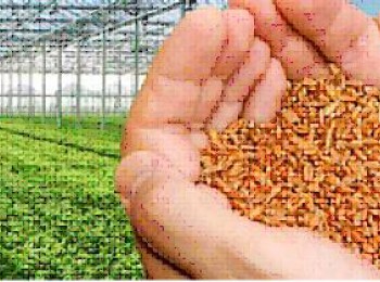 Call NWO-TIFN-TKI Agri&Food Partnership Programma